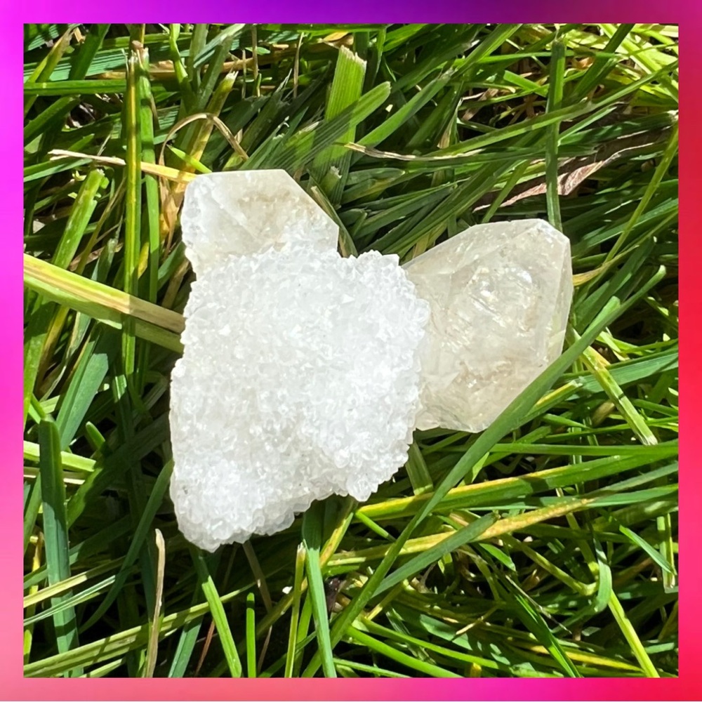Clear Cactus Spirit Quartz Crystal